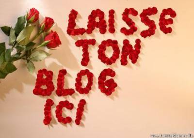 laisse ton blog